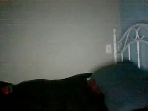 SmokingSloth online show from 16, 3, 2025