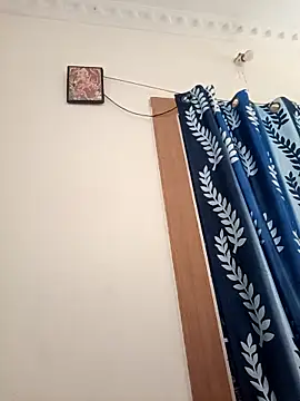 Anjali 88 online show from 8, 11, 2025