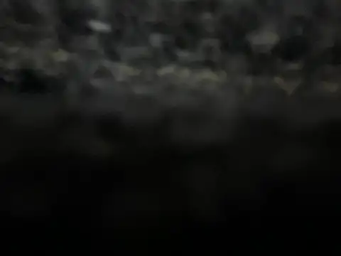 Snapshot of _my_ass_ chatting on 9, 2, 2025  my ass  online show from 9, 2, 2025