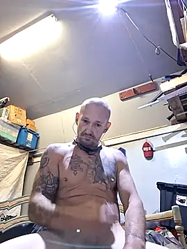 Colmmcx online show from 25, 3, 2026