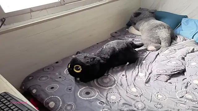 Snapshot of Big19Asia chatting on 18, 9, 2025 Big19Asia online show from 18, 9, 2025