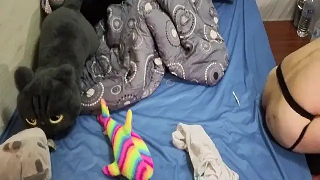 Snapshot of Big19Asia chatting on 24, 9, 2025 Big19Asia online show from 24, 9, 2025