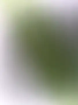 Snapshot of mrwright878787 chatting on 27, 12, 2024 mrwright878787 online show from 27, 12, 2024