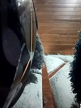 Snapshot of dulce_celeste15 chatting on 15, 1, 2026 dulce celeste15 online show from 15, 1, 2026