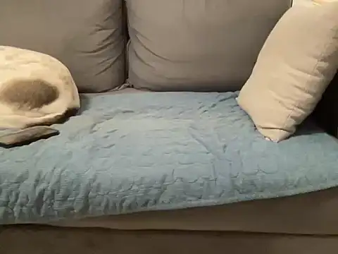 Snapshot of 4small4inchlol chatting on 20, 2, 2026 4small4inchlol online show from 20, 2, 2026