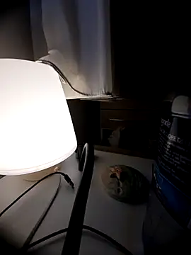 bluangelo online show from 8, 3, 2026