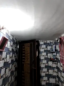 whvysky3 online show from 12, 4, 2026