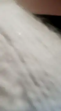 JAWHARA  online show from 15, 12, 2024