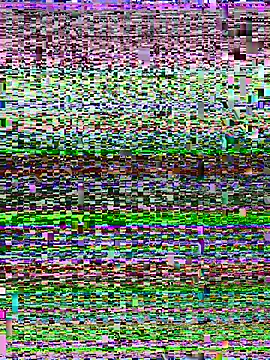 Snapshot of Miss-Soka chatting on 11, 1, 2026 Miss-Soka online show from 11, 1, 2026