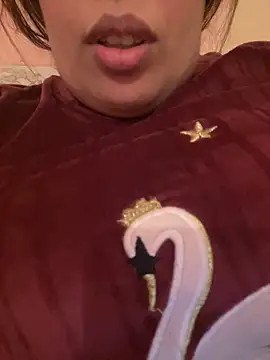 Samarr 9and online show from 20, 12, 2024