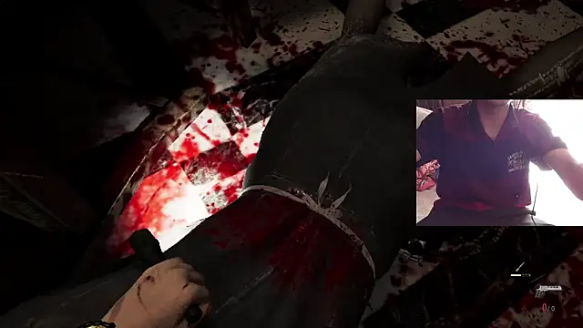 Dreamdaze2025 online show from 13, 4, 2026