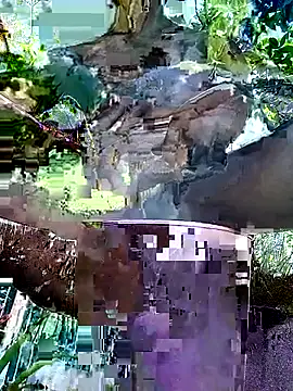 Snapshot of gwadaa9 chatting on 22, 12, 2025 gwadaa9 online show from 22, 12, 2025