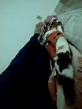 Snapshot of lm279 chatting on 14, 2, 2025 lm279 online show from 14, 2, 2025