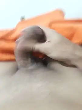 lm279 online show from 3, 2, 2026