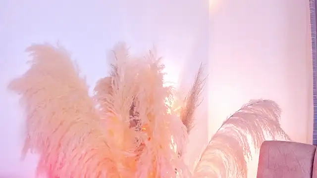 amelie murphy  online show from 15, 12, 2024