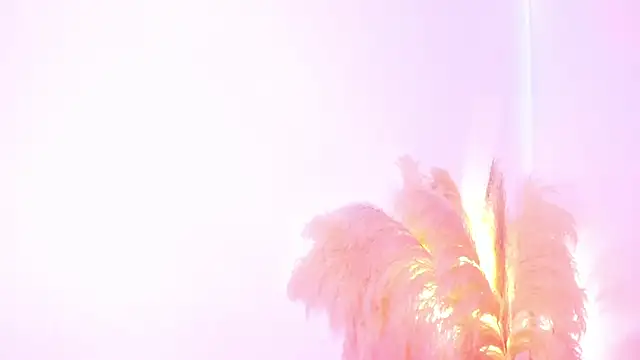 amelie murphy  online show from 2, 2, 2025