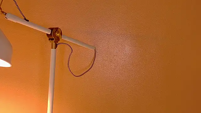 ParisFox  online show from 20, 12, 2025