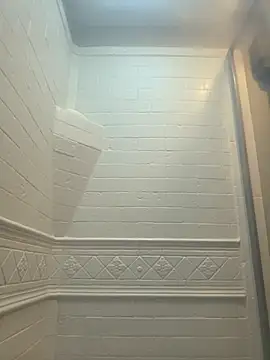 Cobra500hp online show from 29, 3, 2026