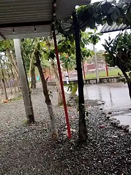 BeetledFlouter12 online show from 26, 9, 2025