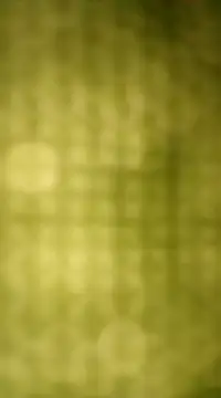 Sexybeer2005 online show from 7, 12, 2024