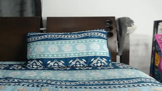 Snapshot of Tobicutee chatting on 5, 2, 2026 Tobicutee online show from 5, 2, 2026