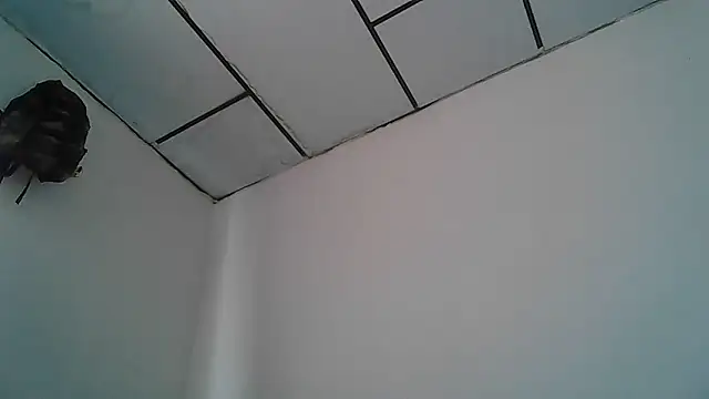 Alphadavid 23 online show from 30, 4, 2026
