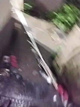 Snapshot of Alokraj373990 chatting on 1, 11, 2025 Alokraj373990 online show from 1, 11, 2025