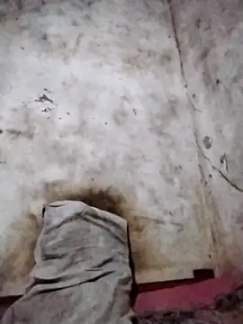 Leonelzain online show from 6, 3, 2026