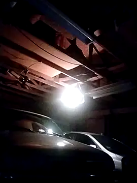 HBYAM online show from 12, 3, 2025