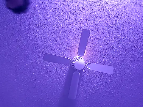 big8dall online show from 24, 9, 2025