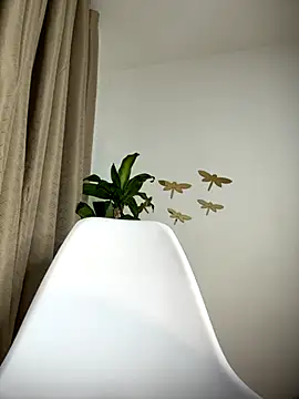 cuteluci  online show from 16, 11, 2025