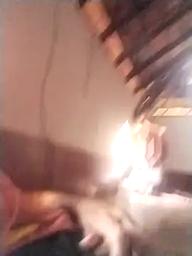 rajshank online show from 29, 12, 2024