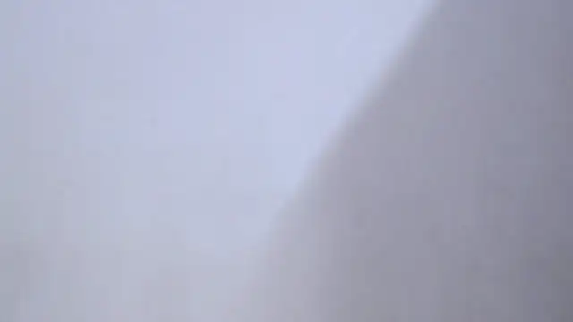 SusanLeroy online show from 10, 4, 2026