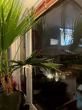 Snapshot of pillepallex84x chatting on 9, 1, 2026 pillepallex84x online show from 9, 1, 2026