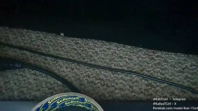 Snapshot of KaliTs chatting on 22, 11, 2025 KaliTs online show from 22, 11, 2025