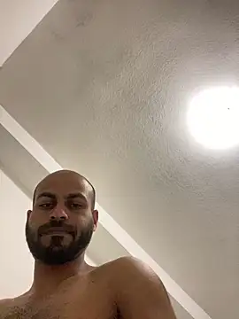 islandvybee55 online show from 17, 12, 2024