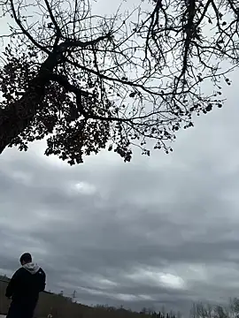 ErPumas126 online show from 11, 1, 2025