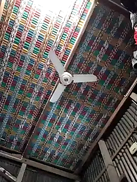 Snapshot of Koyel-Sen chatting on 22, 1, 2025 Koyel-Sen online show from 22, 1, 2025