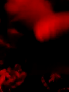 DaniSexFlow online show from 31, 3, 2026