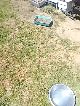 Snapshot of hornyhippies0080 chatting on 4, 3, 2026 hornyhippies0080 online show from 4, 3, 2026