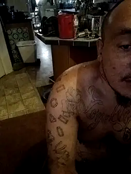 wilsons12 online show from 22, 10, 2025