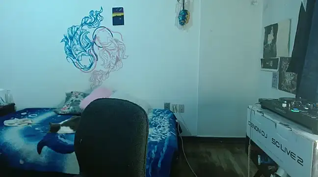 fenixmfx19 online show from 23, 12, 2024