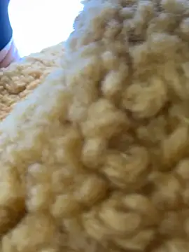 moneymaker taipei online show from 25, 2, 2026