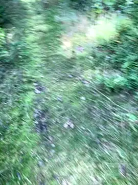 Snapshot of Zbochunec chatting on 13, 9, 2025 Zbochunec online show from 13, 9, 2025