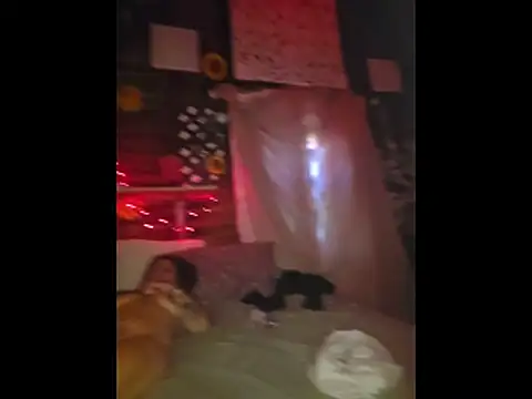 pdoc07 online show from 27, 4, 2026