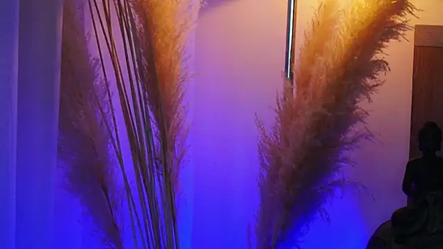 AliceShazaham  online show from 12, 9, 2025