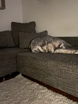 Snapshot of godspot_ chatting on 30, 10, 2025 godspot online show from 30, 10, 2025