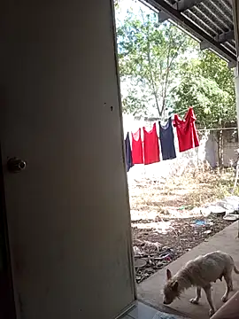 Snapshot of Andresguz35 chatting on 8, 2, 2026 Andresguz35 online show from 8, 2, 2026