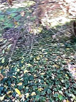 Lucascacaca online show from 4, 12, 2024