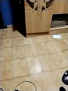 minitranca online show from 10, 11, 2025